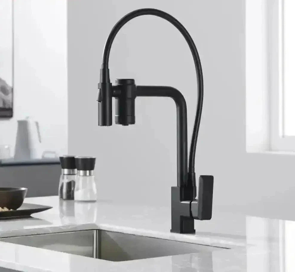 Gourmet Faucet with Filter, Single Lever, Countertop, Eirelez Platinum