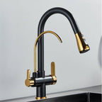 Kraus 3-in-1 Gourmet Pull-Down Kitchen Faucet with Integrated Water Filter and 3-Function Sprayhead