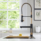 Gourmet Kitchen Faucet Single-Handle with Filter Outlet Premium Luxury 360° - Kube