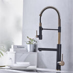 Gourmet Kitchen Faucet Single-Handle with Filter Outlet Premium Luxury 360° - Kube