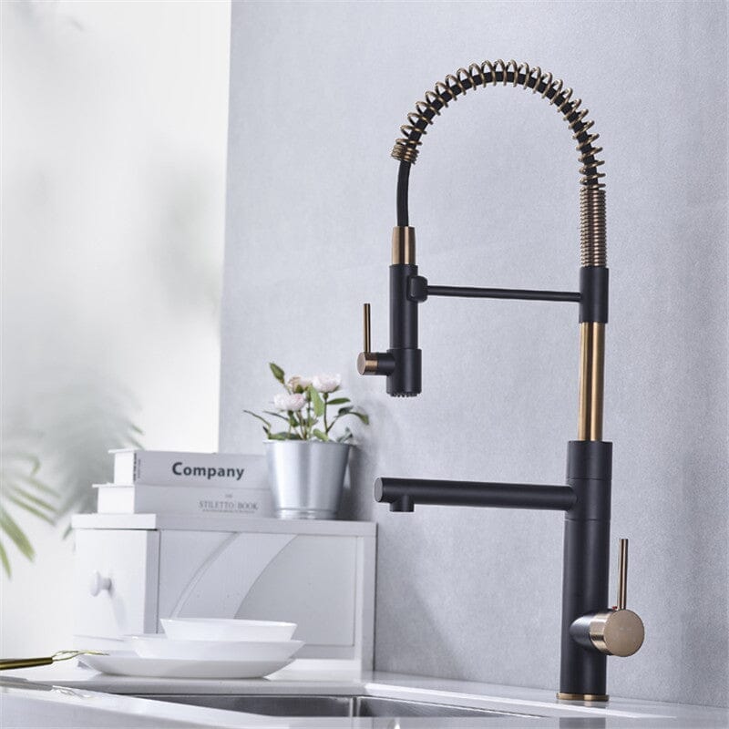 Gourmet Kitchen Faucet Single-Handle with Filter Outlet Premium Luxury 360° - Kube