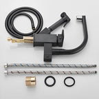 Gourmet Kitchen Faucet Single-Handle Pull-Out SevenPrier