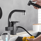 Gourmet Kitchen Faucet Single-Handle Pull-Out SevenPrier