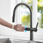 Bloues Digital Gourmet Kitchen Faucet with Sensor