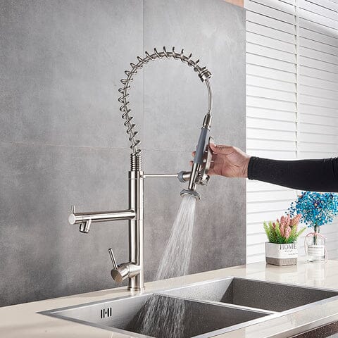 Gourmet Kitchen Faucet Dual Spring Spray Single-Handle High Spout Troia