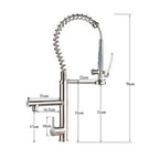 Gourmet Kitchen Faucet Dual Spring Spray Single-Handle High Spout Troia