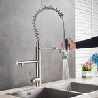 Gourmet Kitchen Faucet Dual Spring Spray Single-Handle High Spout Troia
