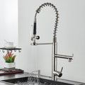 Gourmet Kitchen Faucet Dual Spring Spray Single-Handle High Spout Troia