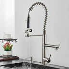 Gourmet Kitchen Faucet Dual Spring Spray Single-Handle High Spout Troia