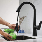 Gourmet Kitchen Faucet Single-Handle Pull-Out Fach