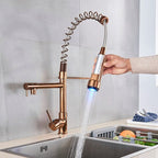 Quiz LED Gourmet Spring Kitchen Faucet - 360° Swivel Duo Bronze