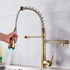 Quiz LED Gourmet Spring Kitchen Faucet - 360° Swivel Duo Bronze