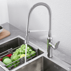 Eirez Single-Handle Gourmet Kitchen Mixer Faucet - Chrome