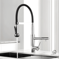 Gourmet Kitchen Faucet Single-Handle with Dual Spout - Neil