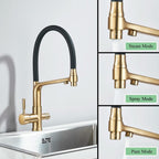 Grutta Single-Handle Gourmet Faucet with Filter Outlet