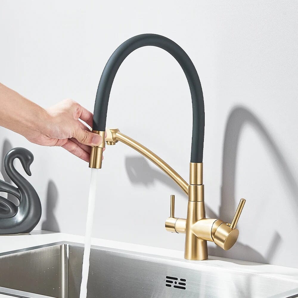 Grutta Single-Handle Gourmet Faucet with Filter Outlet