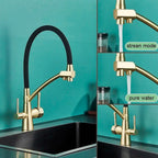 Grutta Single-Handle Gourmet Faucet with Filter Outlet