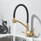 Grutta Single-Handle Gourmet Faucet with Filter Outlet