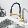 Grutta Single-Handle Gourmet Faucet with Filter Outlet