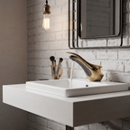 AquaLuxe Single-Handle Faucet