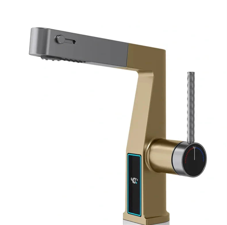 AquaSense Pro Single-Handle Faucet