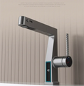 AquaSense Pro Single-Handle Faucet