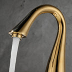 Zora Gourmet Bathroom Faucet