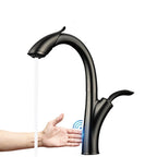 Aviator Luxury Gourmet Kitchen Faucet