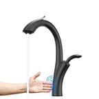Aviator Luxury Gourmet Kitchen Faucet