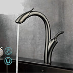Aviator Luxury Gourmet Kitchen Faucet