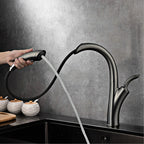 Aviator Luxury Gourmet Kitchen Faucet