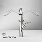 Aviator Luxury Gourmet Kitchen Faucet