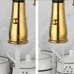 A’qua Antique Gourmet Countertop Kitchen Faucet