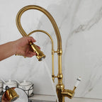 A’qua Antique Gourmet Countertop Kitchen Faucet