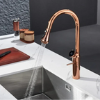 Luxury Tanger Rose Gold Gourmet Countertop Kitchen Faucet