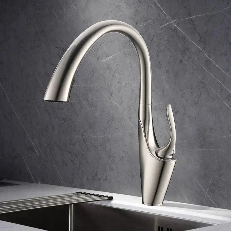 Vekova Luxury Pull-Out Kitchen Faucet